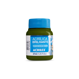 Tinta Acrílica Brilhante 37ml 545-Verde Oliva
